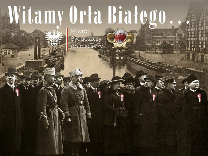 Witamy orła białego