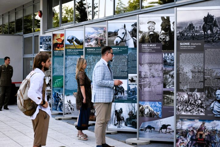 Zwierzęta na wojennych ścieżkach