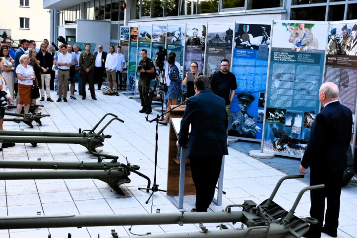 Zwierzęta na wojennych ścieżkach