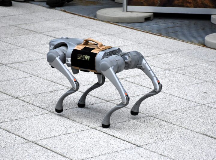 Zwierzęta na wojennych ścieżkach