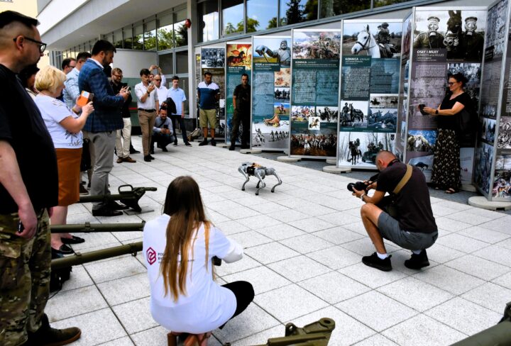 Zwierzęta na wojennych ścieżkach