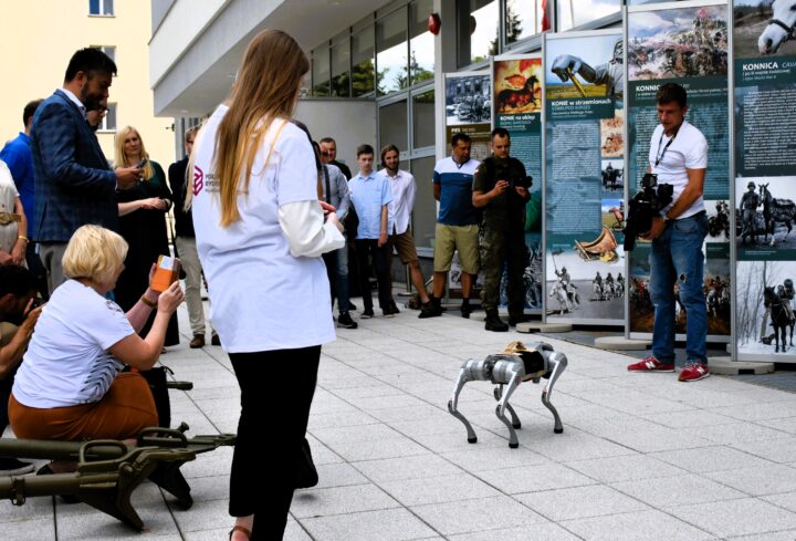 Zwierzęta na wojennych ścieżkach