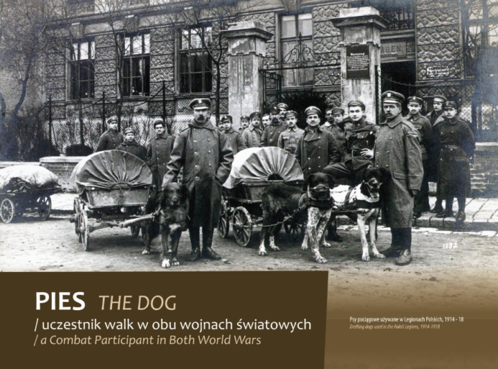 Zwierzęta na wojennych ścieżkach