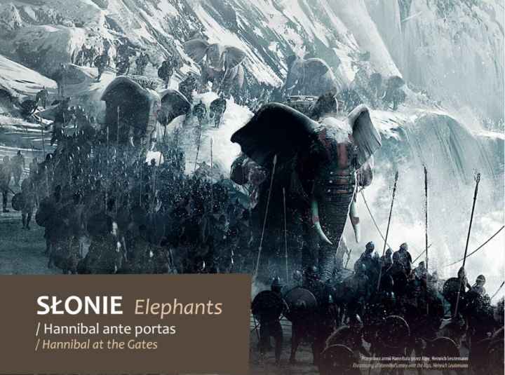 Zwierzęta na wojennych ścieżkach