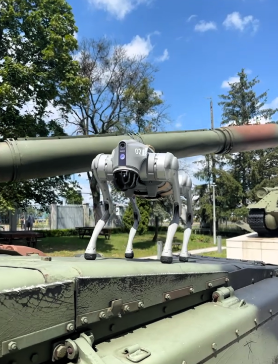 Zwierzęta na wojennych ścieżkach