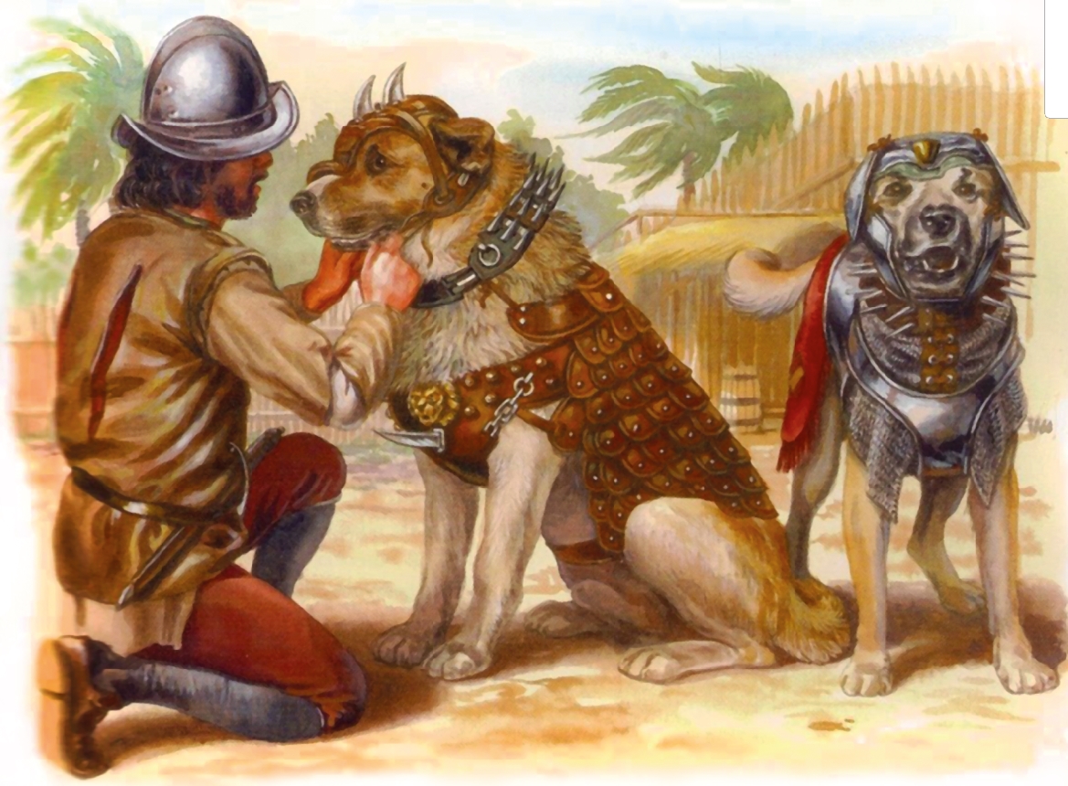 Zwierzęta na wojennych ścieżkach